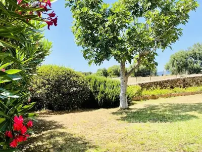 Ferienwohnung für 5 Personen (45 m²) in Propriano 10/10