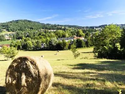Ferienwohnung für 7 Personen (35 m²) 6/10