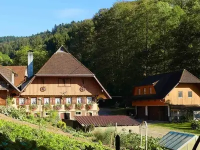 Ferienwohnung für 5 Personen (65 m²) in Oberharmersbach 7/10