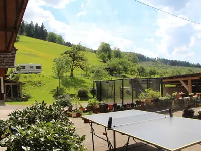 Ferienwohnung für 5 Personen (65 m²) in Oberharmersbach 9/10