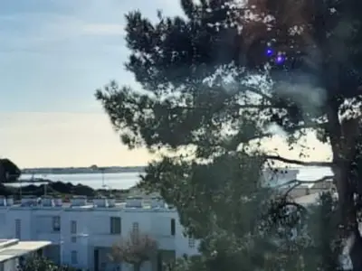 Ferienwohnung für 5 Personen (41 m²) in Le Grau-du-Roi 10/10