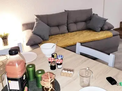 Ferienwohnung für 4 Personen (34 m²) in Le Grau-du-Roi 2/10
