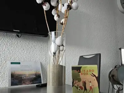 Ferienwohnung für 5 Personen (44 m²) in Le Grau-du-Roi 3/10