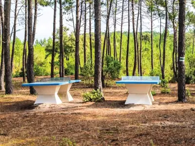 Ferienwohnung für 5 Personen (36 m²) 10/10