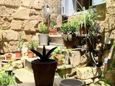 Ferienwohnung für 3 Personen (32 m²) in Gambetta 5/10