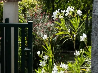 Ferienwohnung für 9 Personen (110 m²) in Sainte-Radegonde-en-Touraine 4/10