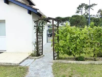 Ferienwohnung für 7 Personen (70 m²) 2/10