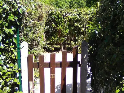 Ferienwohnung für 6 Personen (40 m²) 8/10