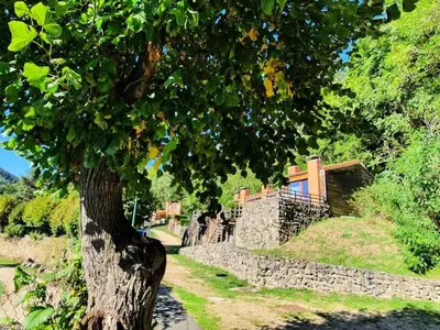 Ferienwohnung für 3 Personen (34 m²) 2/10