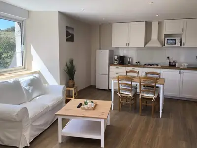 Ferienwohnung für 3 Personen (65 m²) in Saint-Rémy-de-Chaudes-Aigues 4/10