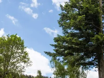 Ferienwohnung für 25 Personen in Saint-Amans-la-Lozère 9/10