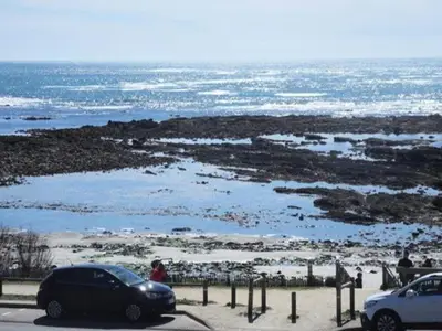 Ferienwohnung für 3 Personen (27 m²) in Le Fort-Bloqué 2/10