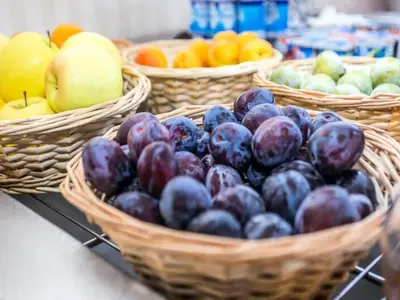 Ferienwohnung für 4 Personen (20 m²) 8/10