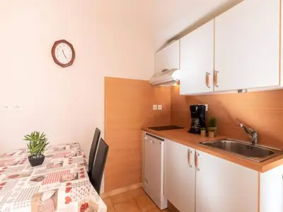 Ferienwohnung für 5 Personen (46 m²) in Saint-Lary-Soulan 4/10