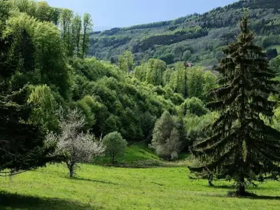 Ferienwohnung für 8 Personen (66 m²) 10/10