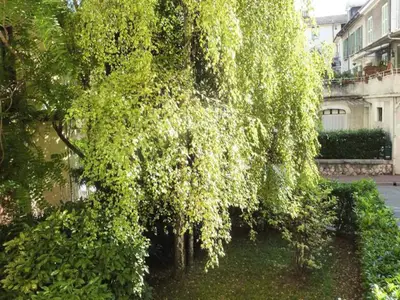 Ferienwohnung für 4 Personen (60 m²) in Aix-Les-Bains 2/10