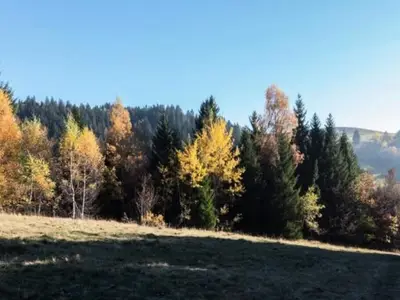 Ferienwohnung für 5 Personen (30 m²) in La Féclaz 9/10