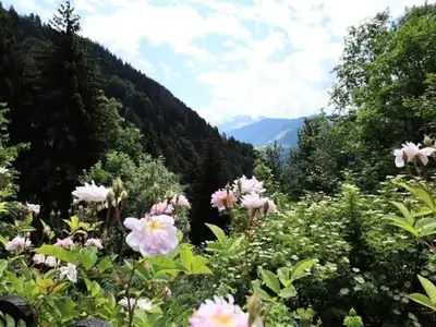Ferienwohnung für 13 Personen (200 m²) in Villard sur Doron 3/10