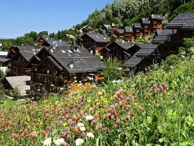 Ferienwohnung für 6 Personen (45 m²) in Méribel 5/10