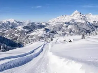 Ferienwohnung für 7 Personen (37 m²) in Flumet 3/10