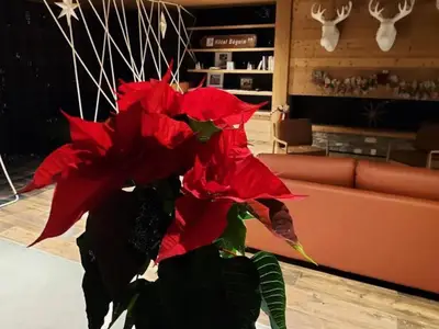 Ferienwohnung für 9 Personen (90 m²) in Les Arcs 1600 7/10