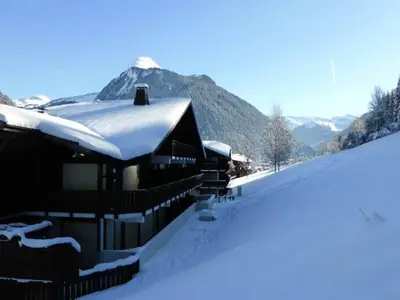 Ferienwohnung für 7 Personen (52 m²) in Morzine 9/10