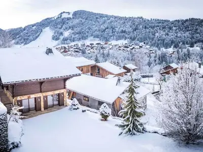 Ferienwohnung für 11 Personen (200 m²) in Montriond 2/10