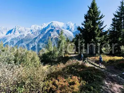 Ferienwohnung für 5 Personen (33 m²) in Les Praz 9/10