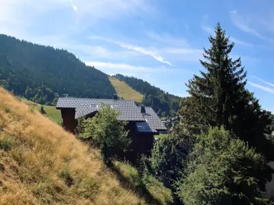 Ferienwohnung für 7 Personen (45 m²) in Les Carroz-d'Arâches 1/10