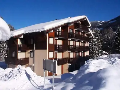 Ferienwohnung für 7 Personen (27 m²) in Châtel 7/10