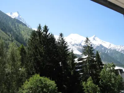 Ferienwohnung für 5 Personen (36 m²) in Chamonix-Mont-Blanc 8/10