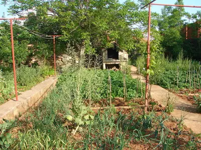 garden