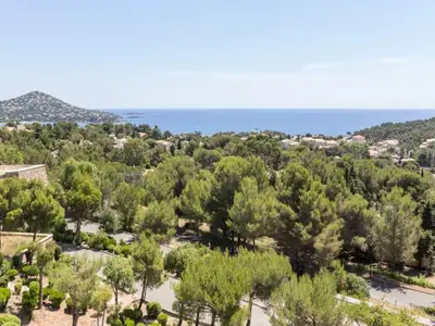 Ferienwohnung für 5 Personen (28 m²) in Saint-Raphaël 10/10