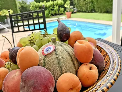 Ferienwohnung für 7 Personen (75 m²) in Lourmarin 7/10