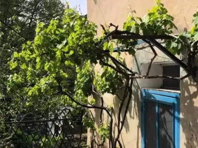 Ferienwohnung für 5 Personen (55 m²) in Fontaine-de-Vaucluse 6/10