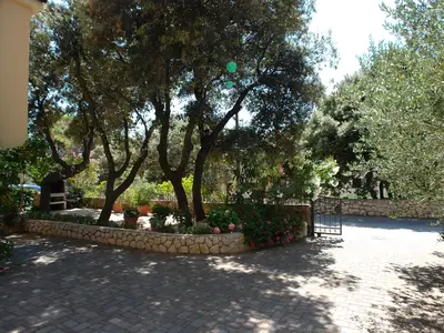 garden