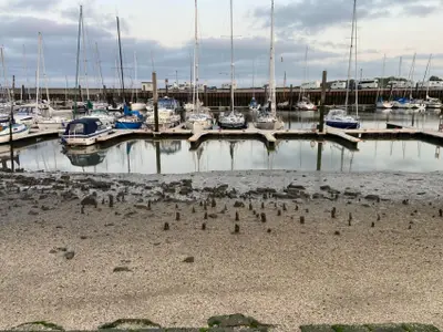 Ferienwohnung für 2 Personen (25 m²) in Horum 9/10