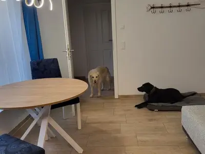 Ferienwohnung für 3 Personen (42 m²) in Altenkirchen (Rügen) 10/10