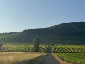 Ferienwohnung für 6 Personen (120 m²) in Stadt Kitzingen