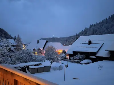 Ferienwohnung für 9 Personen (110 m²) in Sankt Blasien 3/10