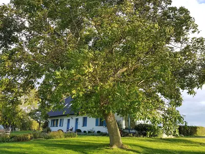 Ferienwohnung für 2 Personen (35 m²) in Glowe 8/10