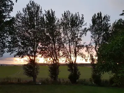 Ferienwohnung für 2 Personen (35 m²) in Glowe 10/10