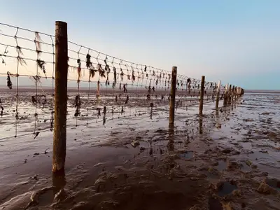 Ferienwohnung für 2 Personen (30 m²) in Horum 10/10