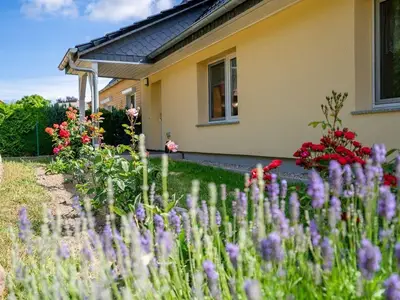 Ferienwohnung für 4 Personen (115 m²) in Vipperow 1/10