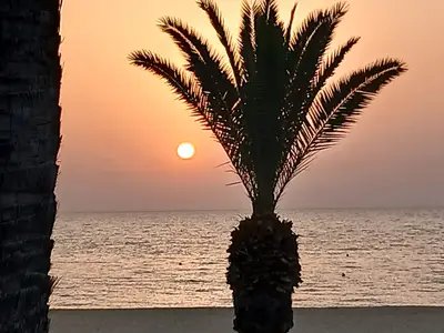 Ferienwohnung für 3 Personen (45 m²) in El Kantaoui 8/10