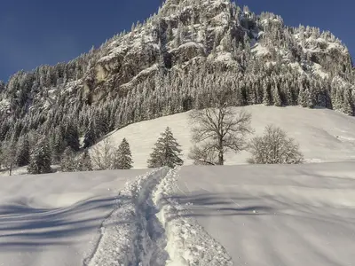 Sonnenbichl hinter dem Haus