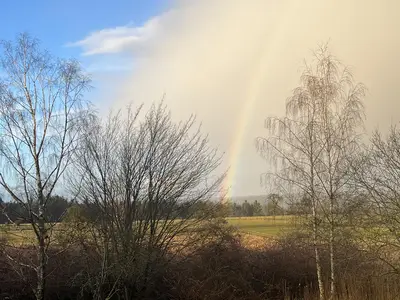 Bullau | bü-Blick über die Ebene Richtung Wald