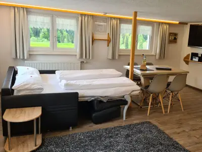 Wohnküche mit ausgezogenem Schlafsofa Südblick