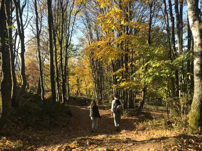 Ferienwohnung Do Blym