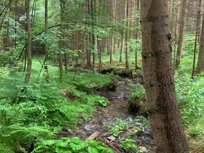 Ferienwohnung Do Blym